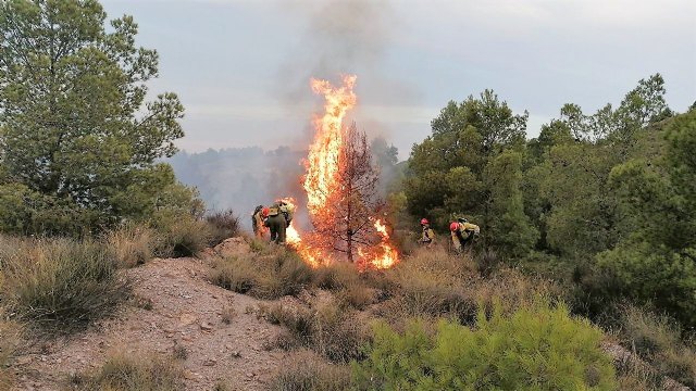 Operativo del Infomur controla un conato de incendio forestal en la Sierra de la Peñarrubia (Lorca)