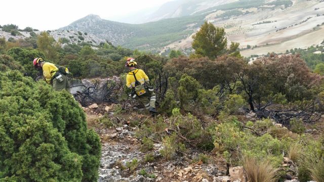 Incendio forestal en la sierra del Gigante (Lorca)