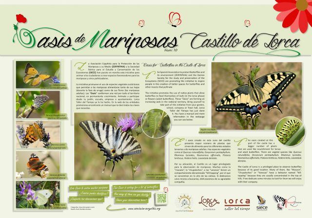 El Castillo de Lorca entra a formar parte del Proyecto 'Oasis de Mariposas' impulsado por la Asociación Española para la Protección de las Mariposas y su Medio