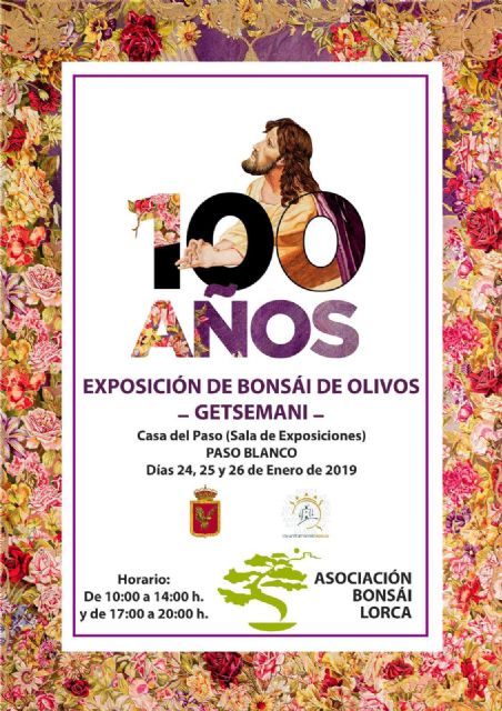 “Getsemaní”: exposición de bonsái de olivos con motivo del Centenario del Paño de las Flores