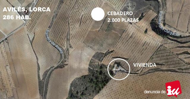 IU-Lorca denuncia la autorización de otra macrogranja porcina en Avilés