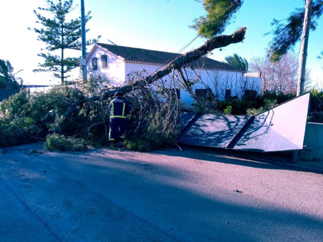 El Ayuntamiento de Lorca procede al cierre temporal de los parques y jardines municipales así como de Las Alamedas debido a la previsión de fuertes rachas de viento