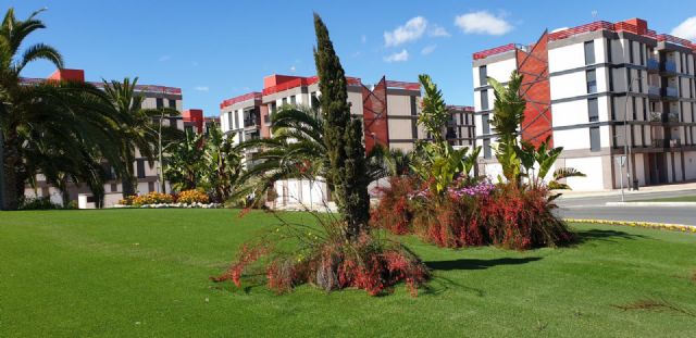 El Ayuntamiento de Lorca lleva a cabo la plantación de más de medio millar de varias especies de árboles