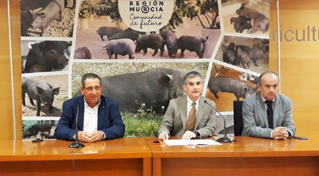 Lorca acoge el primer 'Fórum ganadero regional de porcino' con más de 300 asistentes