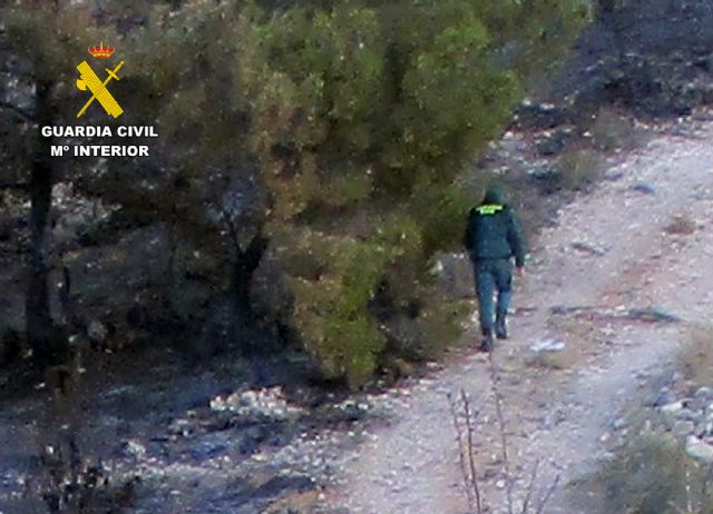 La Guardia Civil esclarece un incendio forestal en Lorca con un investigado