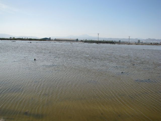 La CHS saca a información pública el deslinde de la rambla de Biznaga en Lorca