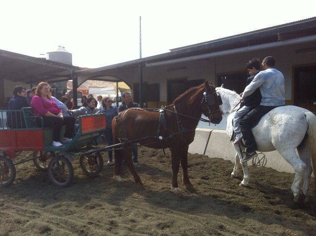Los 80 usuarios de Apandis participan en el tratamiento de equinoterapia puesto en marcha por la Concejalía de Cultura del Ayuntamiento de Lorca