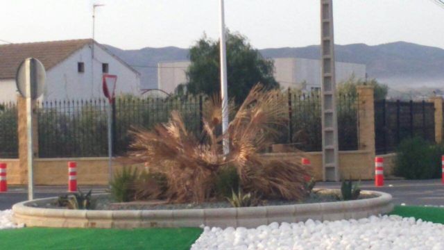 El PSOE exige la elaboración de un protocolo de actuaciones ante los alarmantes datos de contaminación atmosférica en el mes de Junio