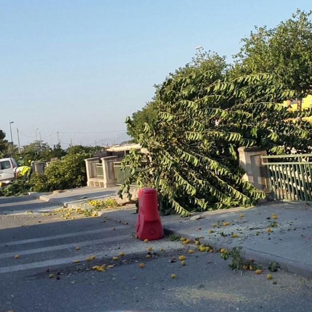 Ciudadanos Lorca pide la dimisión de la Concejala de Obras del Ayuntamiento de Lorca