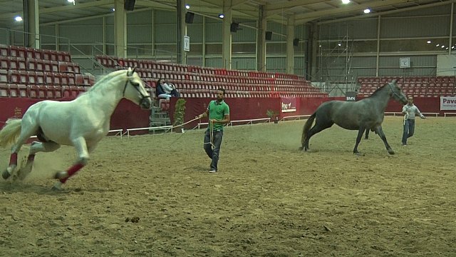 FERICAB cumple veinte años con una edición llena de novedades