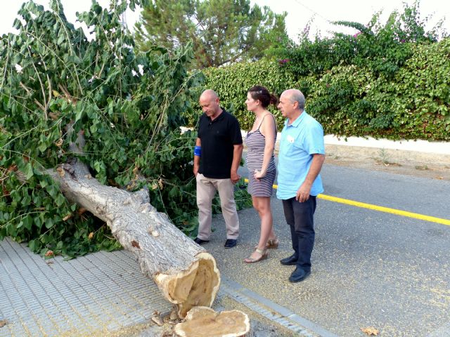 Izquierda Unida afirma que las obras de la Ronda Sur se están haciendo sin el preceptivo informe de la Confederación Hidrográfica del Segura