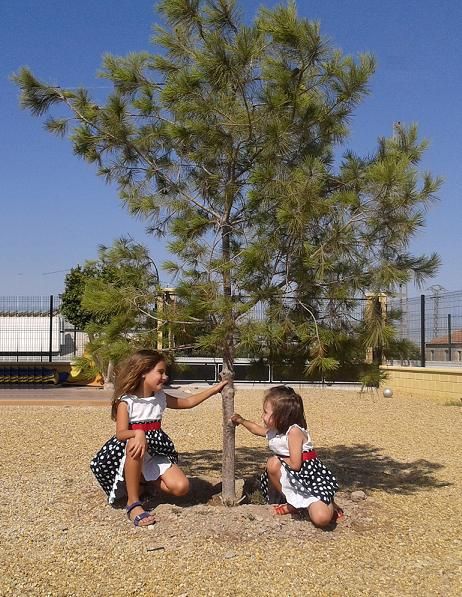 C´s diseña un plan para el fomento del arbolado autóctono en Lorca