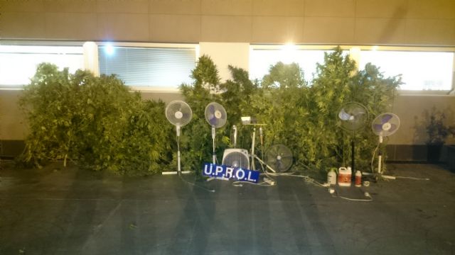 La Policía Local interviene una explotación intensiva con 28 plantas de marihuana, intercepta 2 kilos de cogollos de cannabis, detiene a 2 personas y sanciona a otras 3