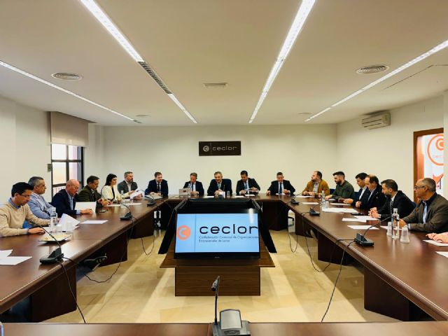 El Plan Industrial de la Región recoge ya el potencial de Lorca por su alta disponibilidad de suelo en Saprelorca y los polígonos de Serrata y La Hoya