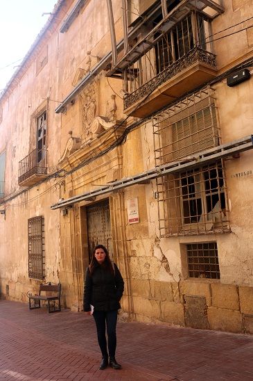 IU-V exige medidas urgentes para evitar la destrucción de los elementos patrimoniales más relevantes de la Casa de Guevara