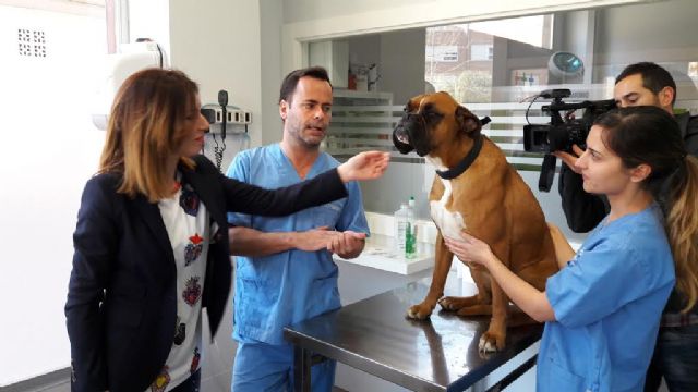 La Concejalía de Sanidad constata un incremento del número de perros identificados con el correspondiente microchip que se eleva hasta los 12.325