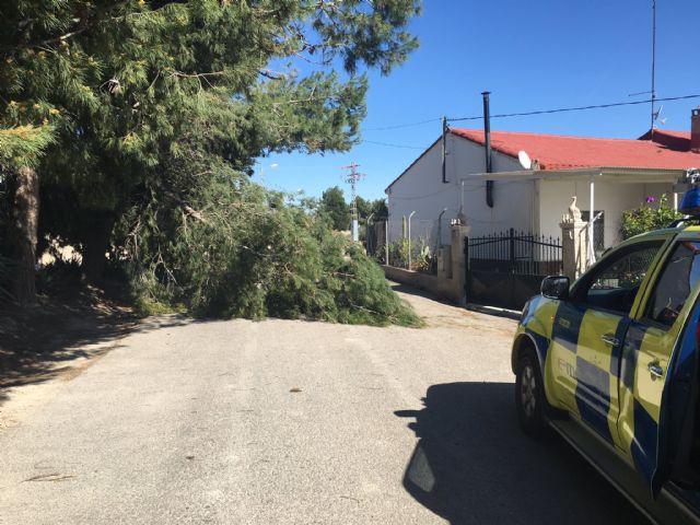 El Ayuntamiento de Lorca activa el Nivel 0 del Plan de Emergencia Municipal ante el aviso de nivel naranja por rachas de viento emitido por AEMET