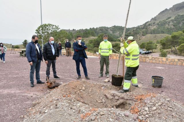 El alcalde de Lorca participa en la jornada de plantación de cerca de medio centenar de árboles en el Parque de La Salud de La Hoya