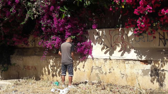 Arrecian los problemas provocados por las nubes de mosquitos, presencia de ratas y acumulación de basura en el tramo urbano de las vías del tren