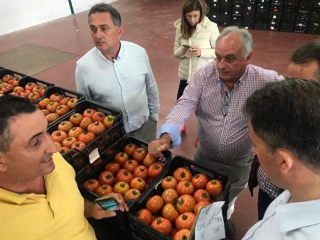 El PP anima a los jóvenes agricultores lorquinos a beneficiarse de la nueva línea de 9,7 millones de euros para la creación de empresas agrarias