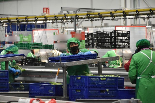 El paro se reduce en Lorca en 193 personas en julio y alcanza cifras similares a antes de la crisis de 2008