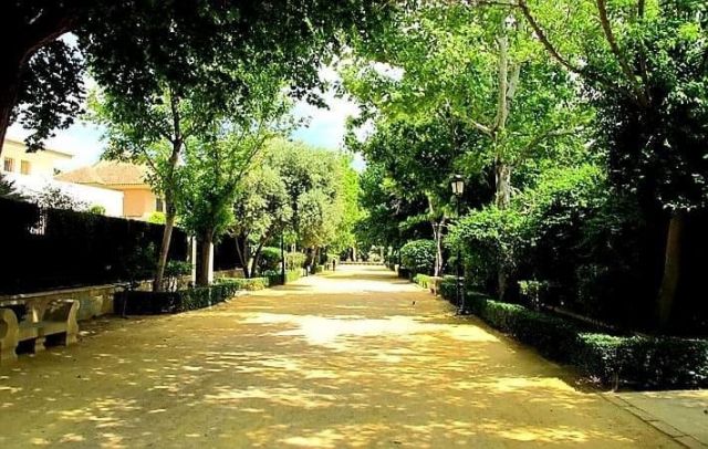 El Ayuntamiento de Lorca informa de un tratamiento contra la cochinilla en distintas zonas verdes de la ciudad