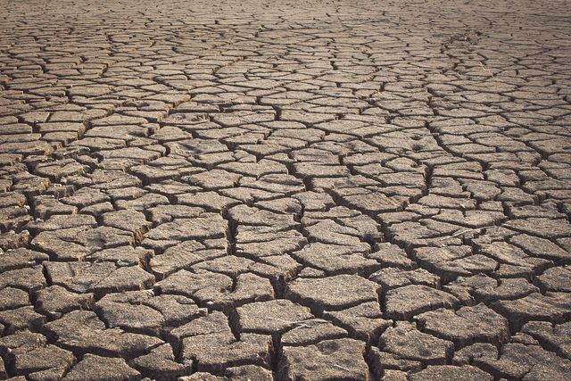 IU-Verdes pide un 'verdadero' plan de lucha contra la desertificación de Lorca