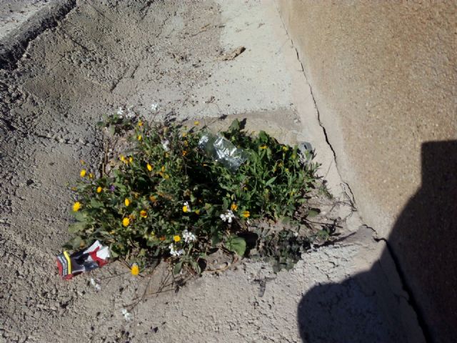 IU-Verdes denuncia deficiencias en el Camino de Felí que ponen en peligro a los escolares de la zona