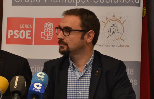 El PSOE pide a Ayuntamiento y CARM que intensifiquen de forma urgente la campaña para combatir la plaga de oruga procesionaria e insectos perforadores