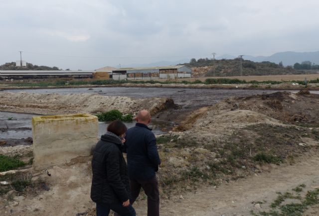 Los empresarios del porcino demandan a dos concejales de IU de Lorca por sus declaraciones en torno a los purines