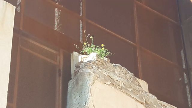 La iglesia de San Pedro, restaurada por el gobierno regional del PP con 700.000€, permanece cerrada desde hace más de dos años y medio, sin apenas uso