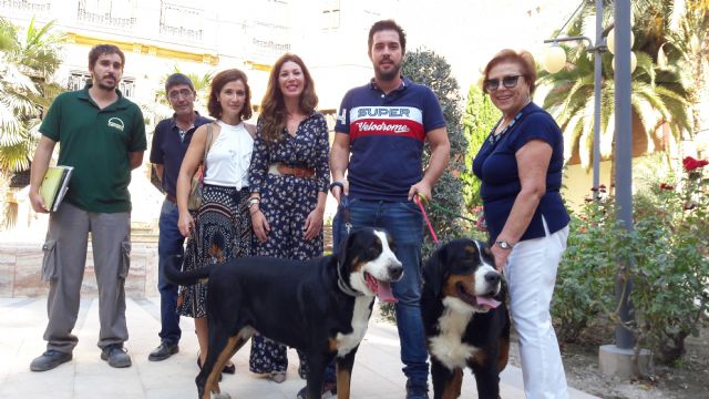 La Concejalía de Sanidad recuerda la obligatoriedad del chipado de mascotas, que permite identificar y recuperar al animal en caso de extravío