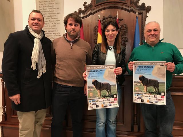 Lorca acogerá el II Campeonato Monográfico de Mastín Español en el que participarán más de medio centenar de ejemplares de toda España