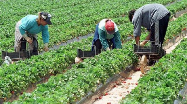 IU muestra 'moderado optimismo' tras la celebración de la Mesa Local de Empleo en Lorca