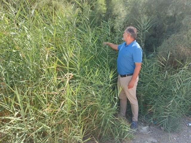 El PP advierte del peligroso estado que presentan las ramblas del municipio, que acumulan más de cuatro años sin las tareas de limpieza y desbroce necesarias