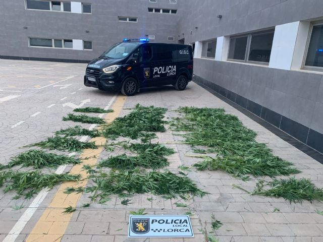 La Policía Local lleva a cabo varias actuaciones que permiten sancionar a una persona por el cultivo ilícito de drogas y a otras dos por la venta y compra de tabaco de contrabando