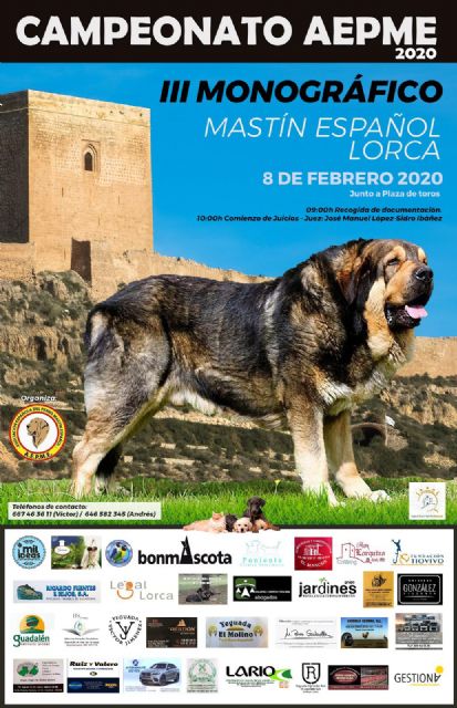 Unos 60 ejemplares se darán cita, este sábado, 8 de febrero, en el III Monográfico Mastín Español de Lorca