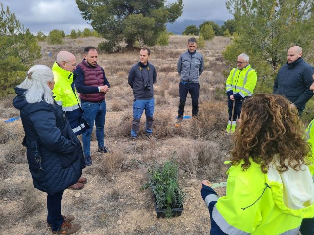 Aguas de Lorca planta 600 árboles para contribuir a la descarbonización y combatir la deforestación