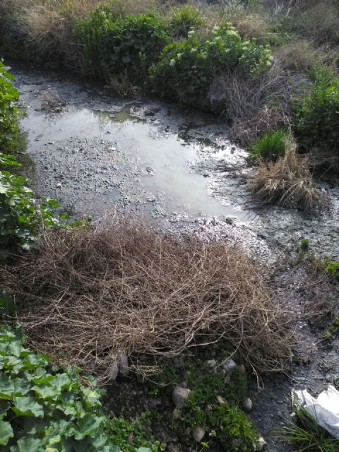 PSOE: 'En 11 años, el PP sólo ha ofrecido como solución a los vecinos de Las Terreras el vertido de las aguas fecales al cauce de una rambla'