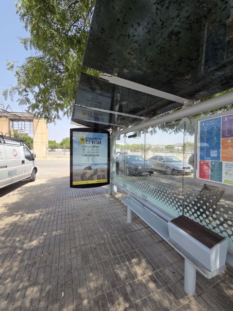 Lorca recuerda que sus playas son 'Territorio Tortuga' con una campaña de sensibilización para proteger la nidificación de la tortuga boba