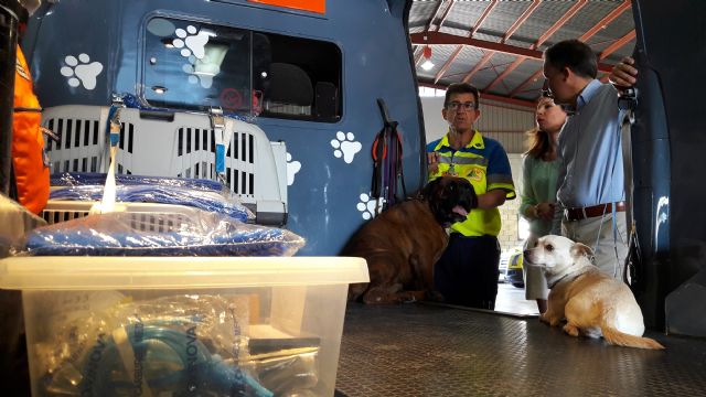 Lorca se une a un servicio pionero y gratuito de recogida y cuidado de mascotas