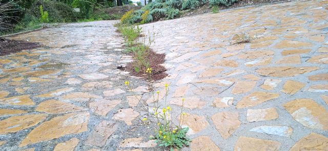Abandono total en la playa de la pedanía de Coy pese a que hace más de un mes que el gobierno saliente anunció su apertura inmediata