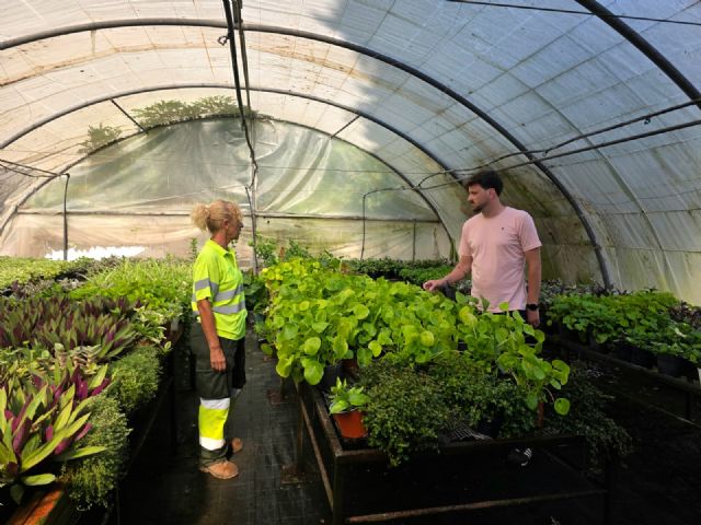Los Viveros Municipales de La Torrecilla producen cada año más de 20.000 plantas para embellecer Lorca y sus pedanías