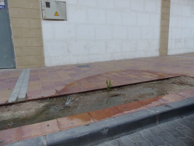 IU apela a la colaboración ciudadana en cuestiones de limpieza dada la dejadez del equipo de gobierno