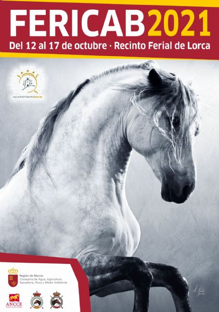 Más de un centenar de equinos de pura raza española participarán en la nueva edición de FERICAB que comenzará el próximo martes, 12 de octubre