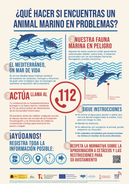El Ayuntamiento de Lorca colabora un a&ntilde;o más con la Fundación Oceanogràfic para proteger los animales marinos durante el periodo estival