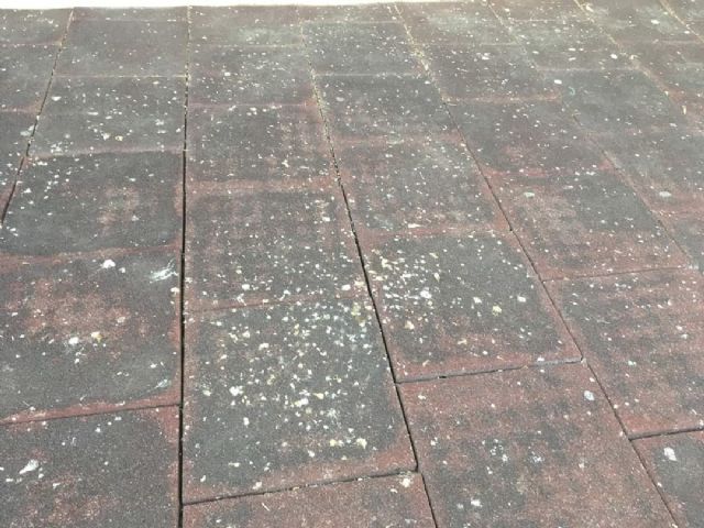 IU-Verdes pide que los trabajadores de los Consejos Comarcales sean destinados a labores de mantenimiento en los pueblos de Lorca