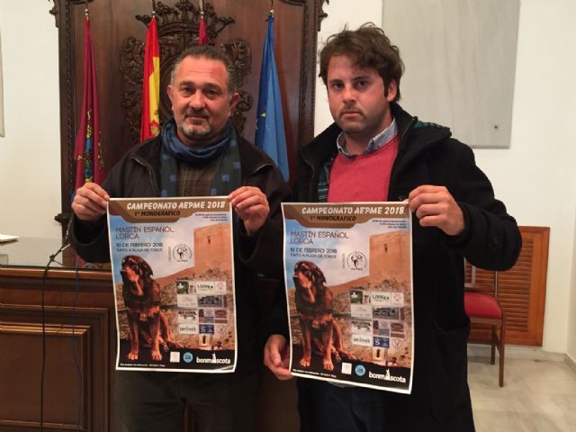 Las inmediaciones del Parque Pediatra Diego Pallarés acogen mañana el I Campeonato Monográfico de Mastín Español en el que participarán 50 ejemplares de toda España