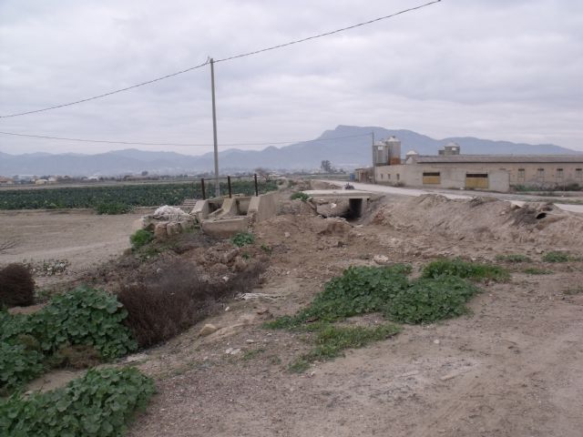 IU-Verdes Lorca exige un estudio exhaustivo del sector porcino y su correcta ordenación