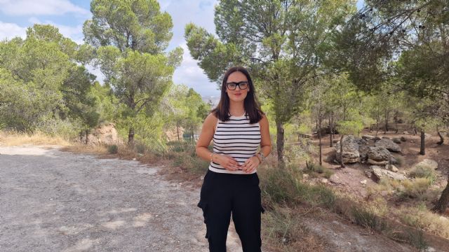 El PSOE denuncia que aún no está activo el plan de vigilancia contra incendios 'INFOMUR' en Lorca